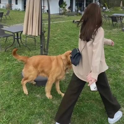 巧克力甜心